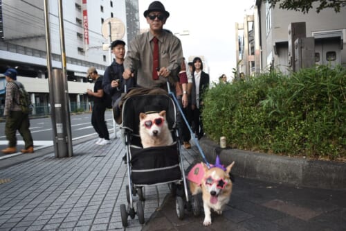 How To Deal With Culture Shock In Japan