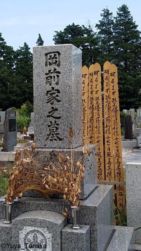 Itatoba behind a tombstone.