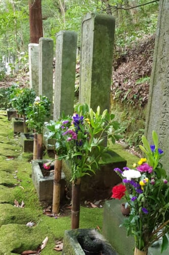Japanese Cemeteries: The Traditions of Japanese Burial Sites