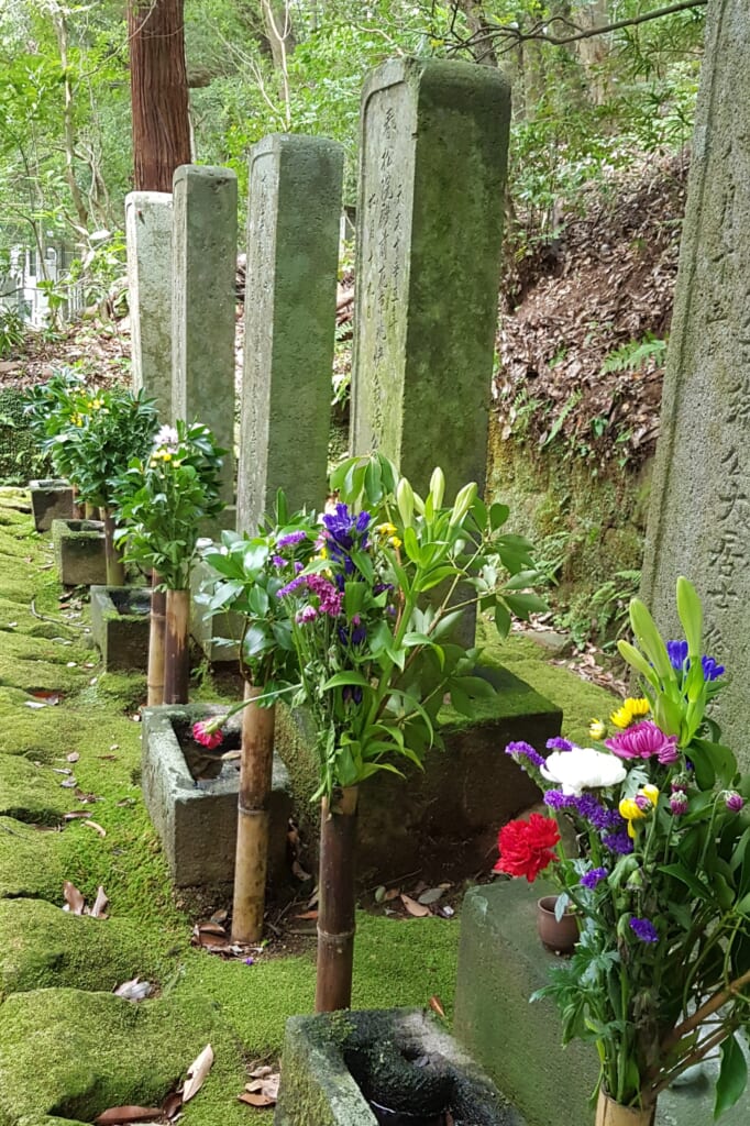 Japanese Cemeteries: The Traditions of Japanese Burial Sites