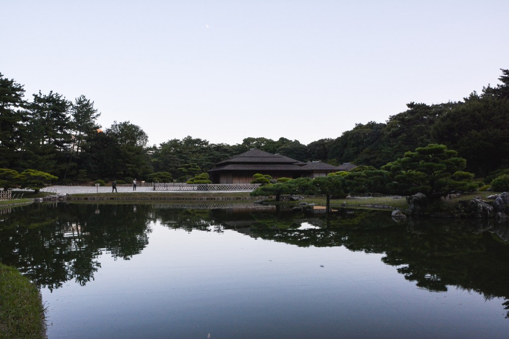 pond with reflection of the sky
