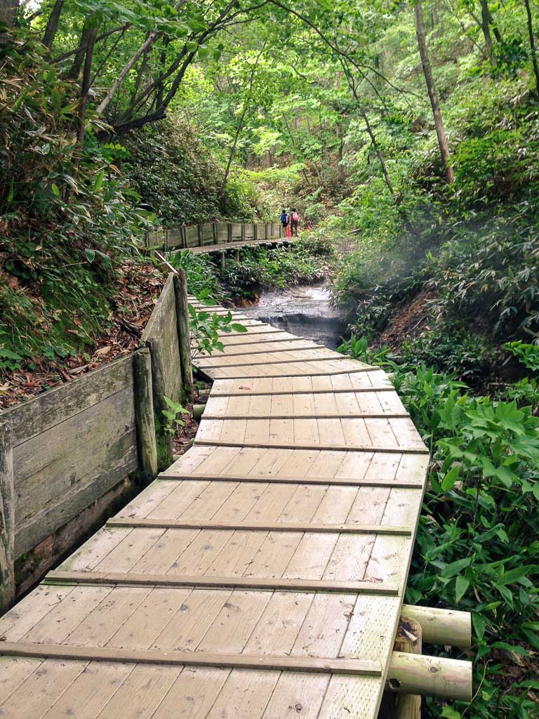 Trail leading to Oyunumagawa Brook Foot Bath