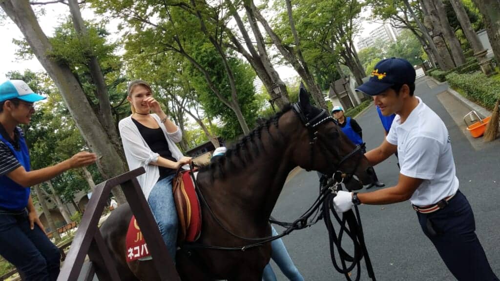 Horses in Japan at racetrack in Fuchu, Tokyo.