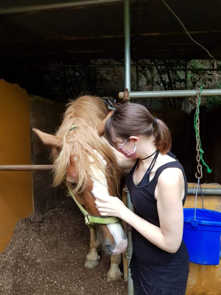 Cuddling with horses in Japan.