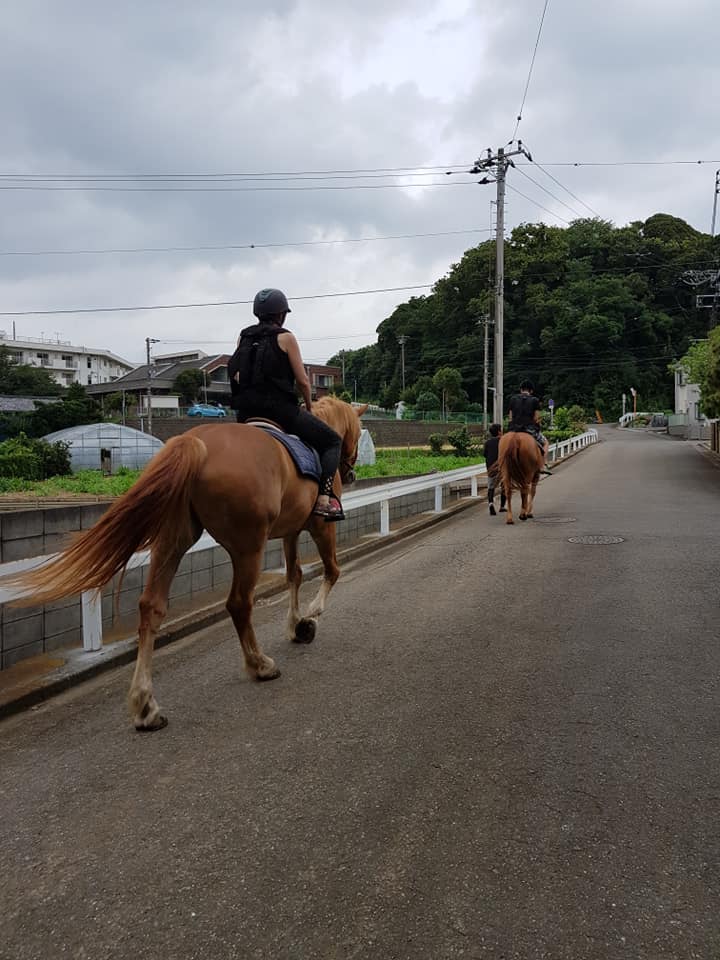 Horse riding in Miura Kaigan, Japan.