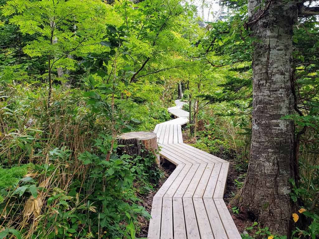 Winding pathway through Himenuma Pond Park on Rishiri Island, Hokkaido