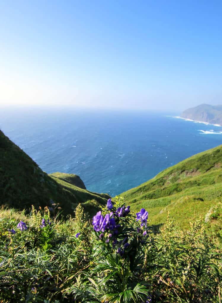 Ocean views from one of Rebun's hiking paths in Hokkaido