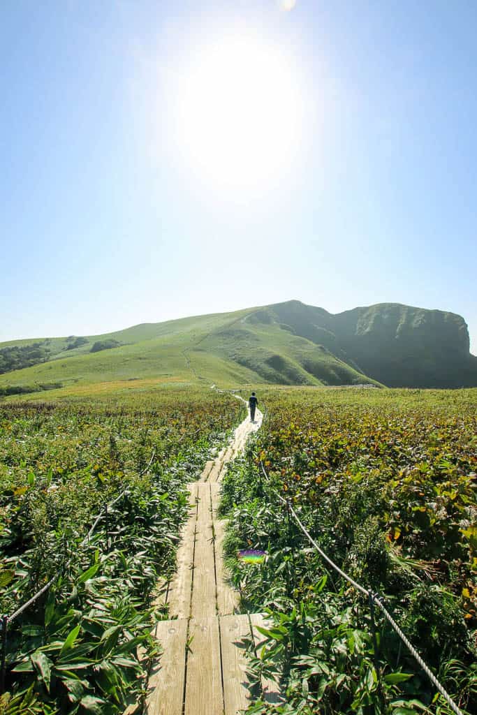 Walkway along Rebun island's hiking paths