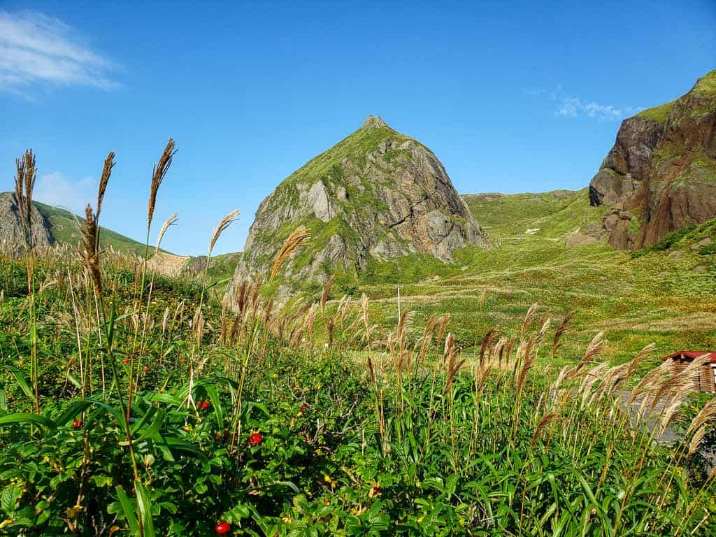 Hiking Path on Hokkaido's remote island of Rebun