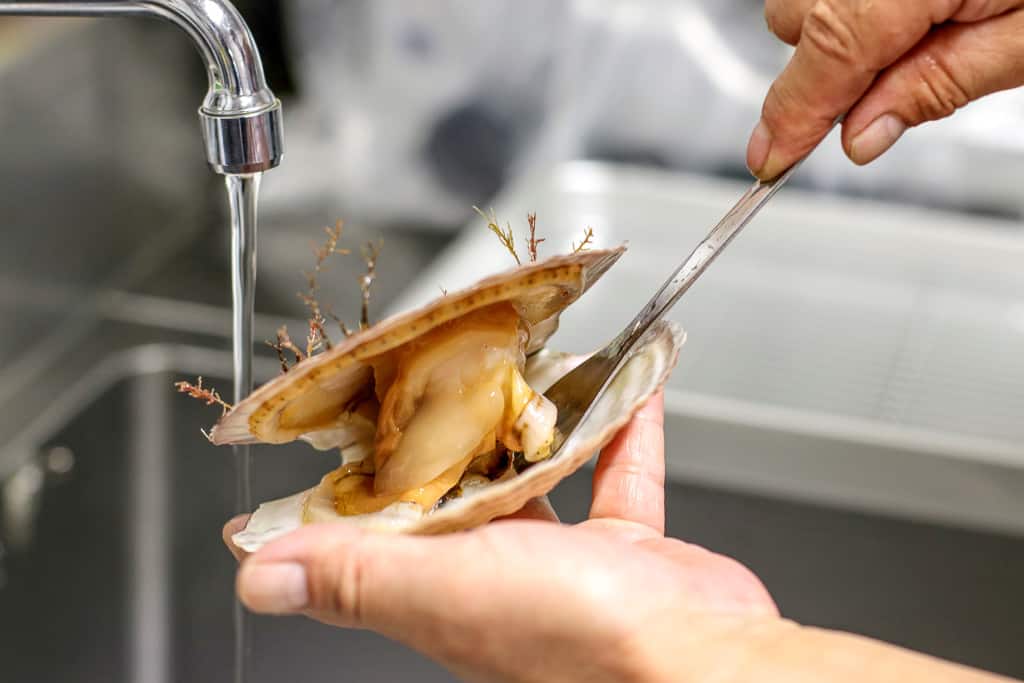 Scallop Shelling Experience at Sarufutsu on Wakkanai, Hokkaido