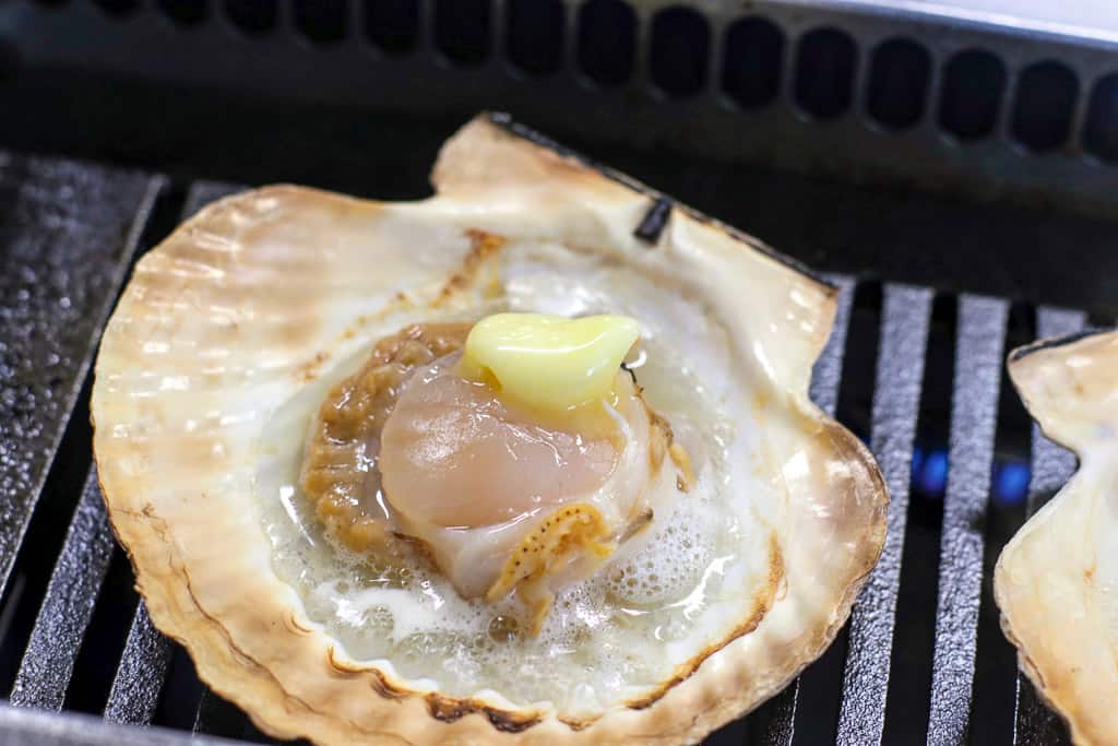 Sizzling scallop experience at Sarufutsu