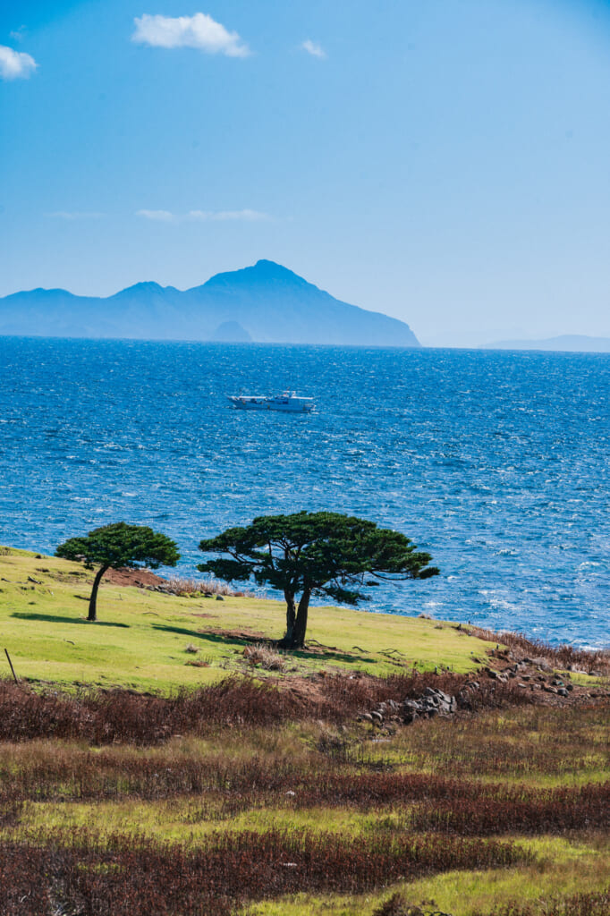 view of savanna on nozaki island ojika