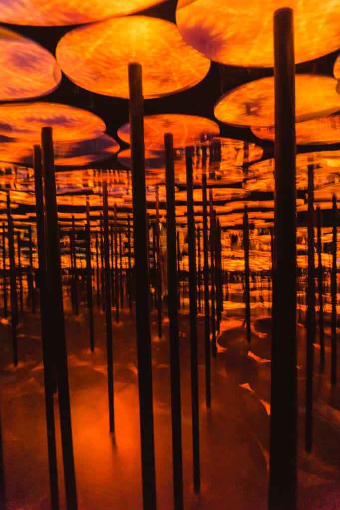  teamlab borderless tokyo artwork