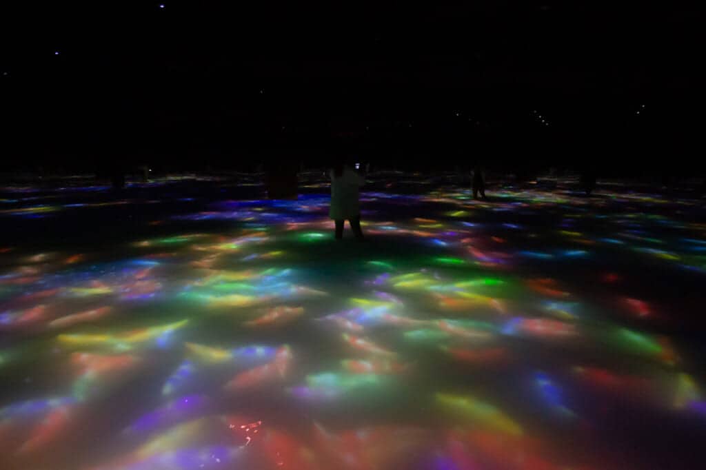 digital koi carp swimming at teamLab Planets in Tokyo