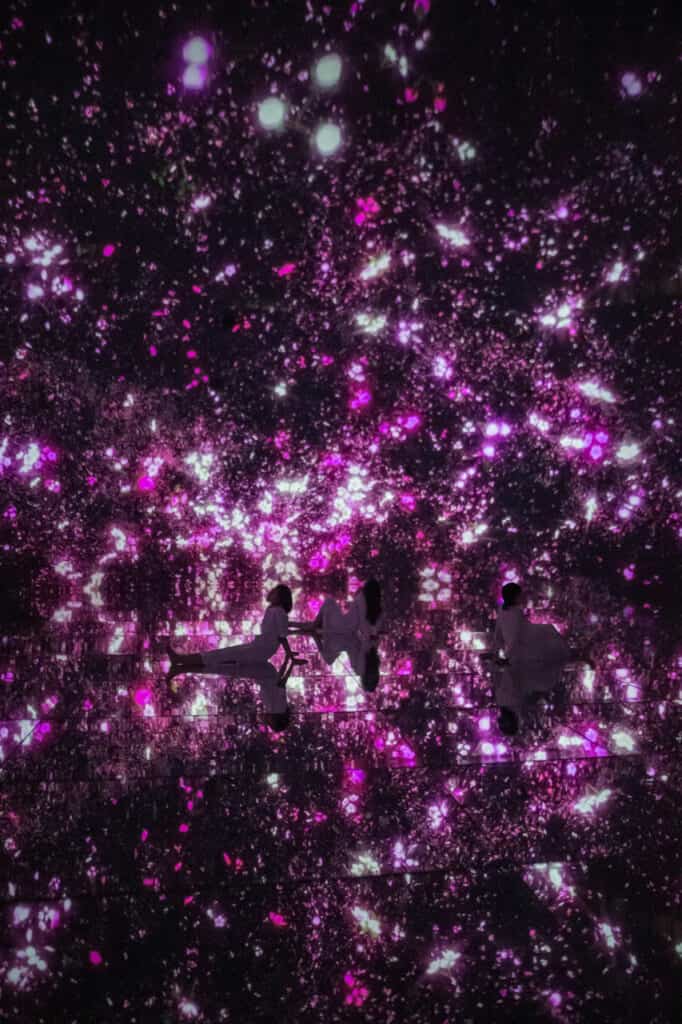 purple digital flowers