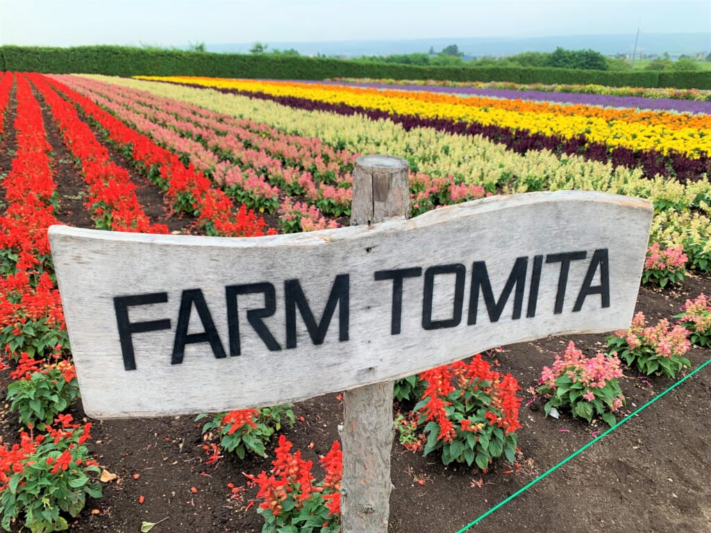 Summer flower fields at Farm Tomita, Furano in HOkkaido