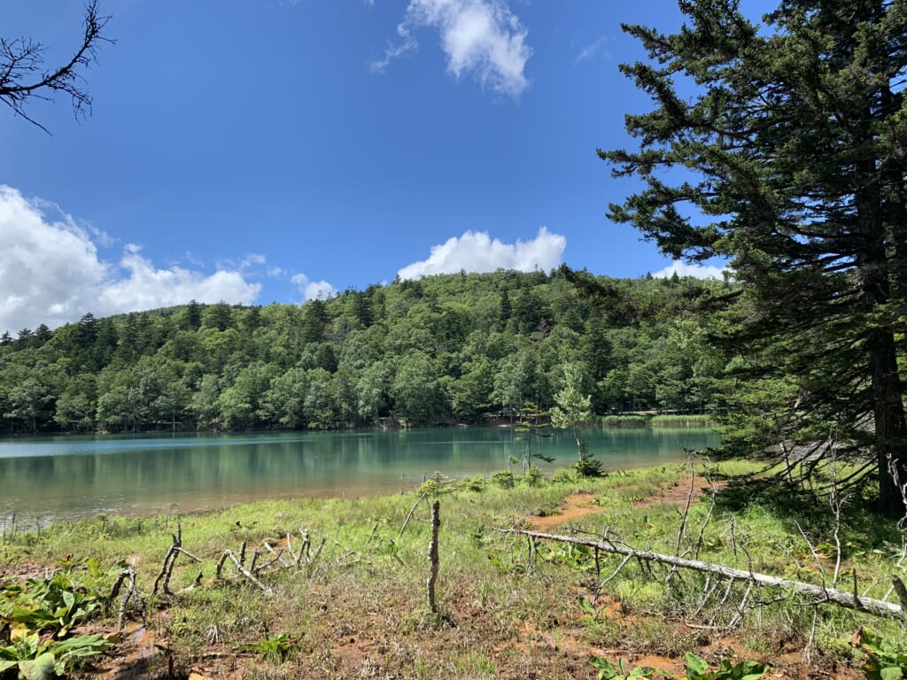 At the edge of the forest, on the banks of Lake Onnetō
