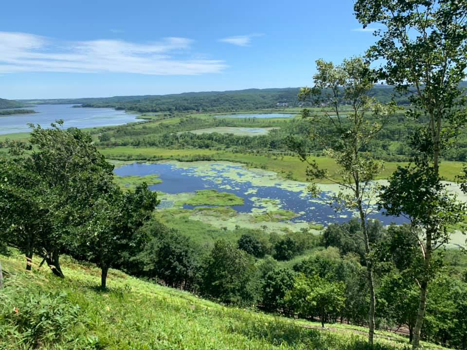 Kushiro wetlands seen from an observation deck
