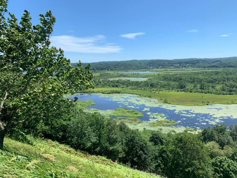 Kushiro wetlands seen from an observation deck