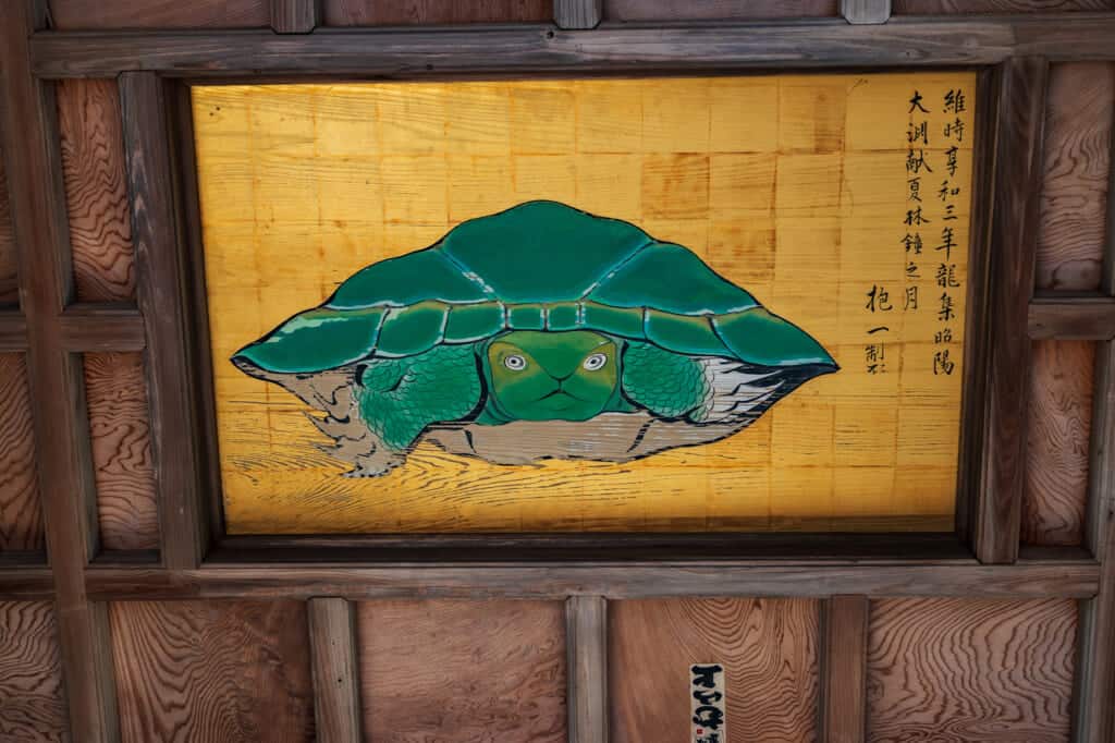 turtle staring in all directions edo period painting
