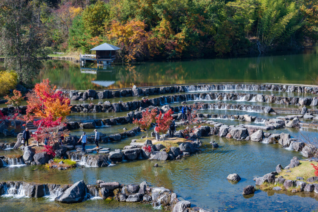Enjoy the Autumn Colors Outside of Kyoto City