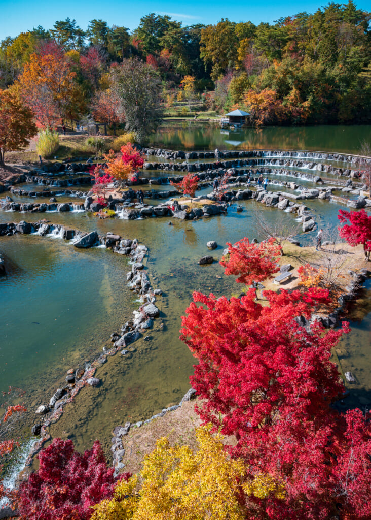  Autumn leaves in Japanese park near Kyoto