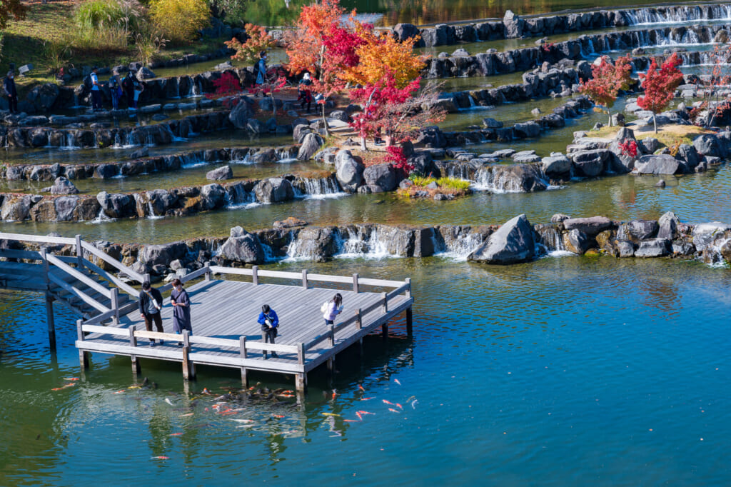 autumn leaves along pond in Japanese park  near Kyoto
