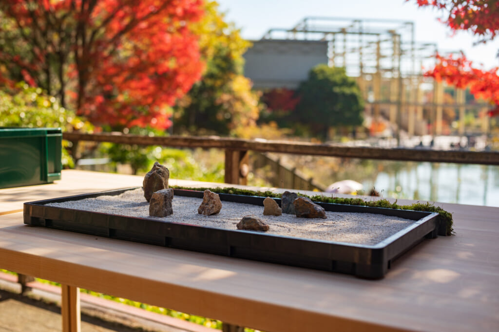 Japanese rock garden with autumn foliage in the background, in garden  near Kyoto