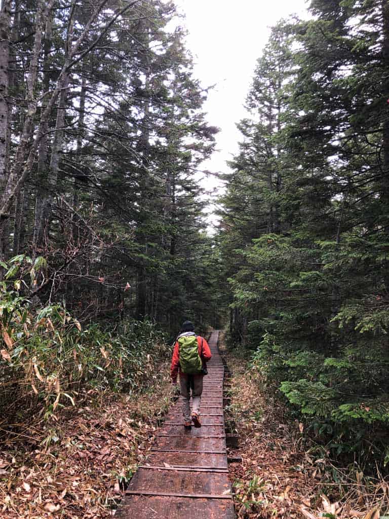 Hiking through marshland at Oze National Park in Japan