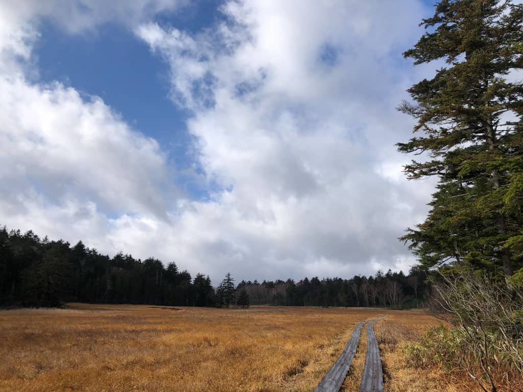 Open sky while Hiking through marshland at Oze National Park in Japan