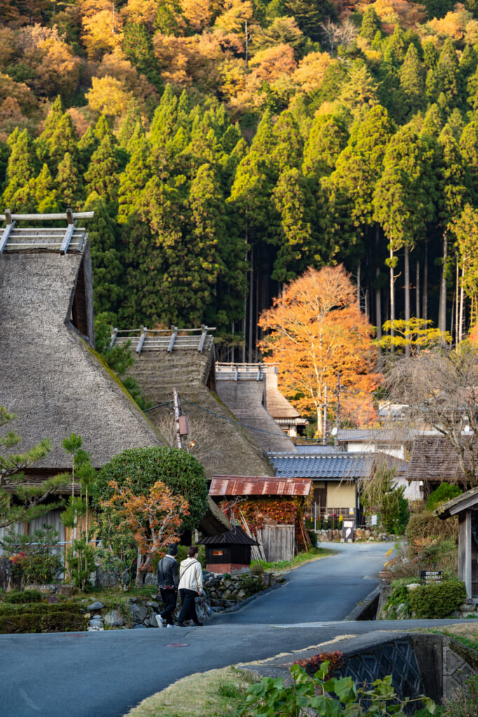 traditional japanese thatched roof houses near kyoto in kayabuki no sato