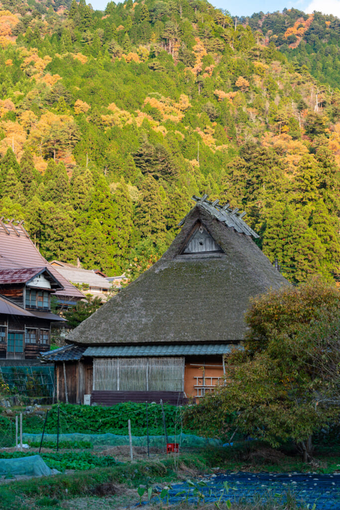 thatched roof house in japan at kayabuki no sato