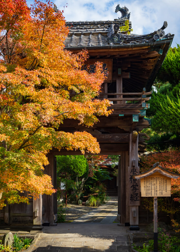 autumn leaves by traditional japanese gateway in Oita prefecture, Kyushu