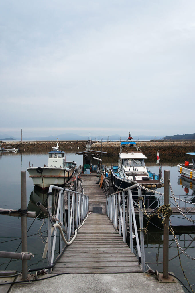 A jetty leading to boats from manabeshima, a cat island in Japan