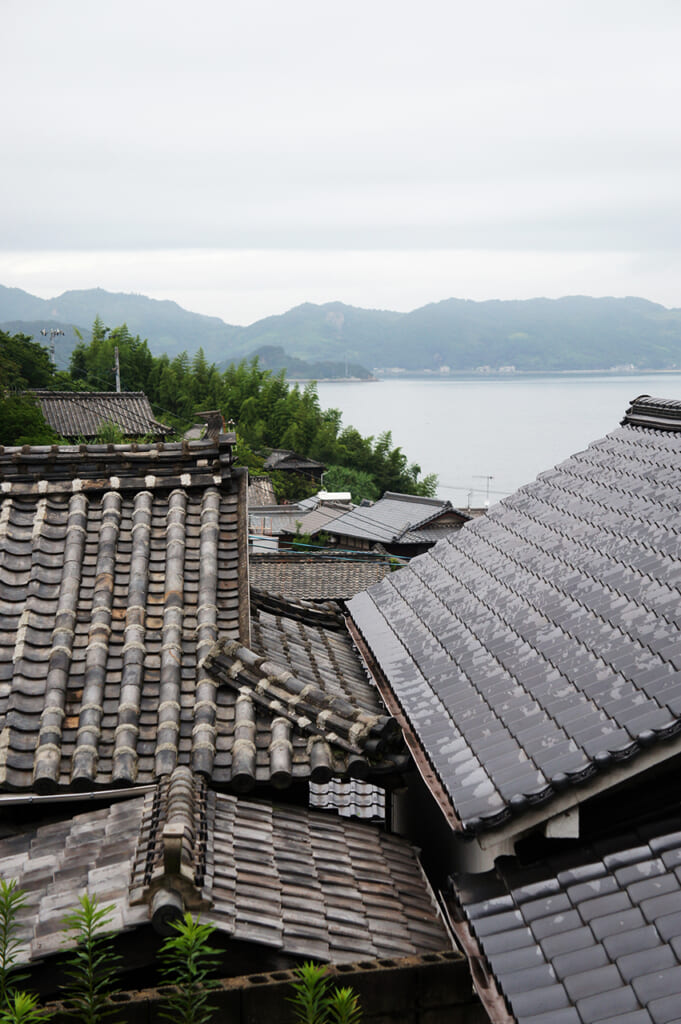 rooftops overlooking the ocean