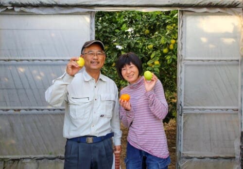 Relax and Discover the Local Life of Setouchi Along the Shimanami Kaido