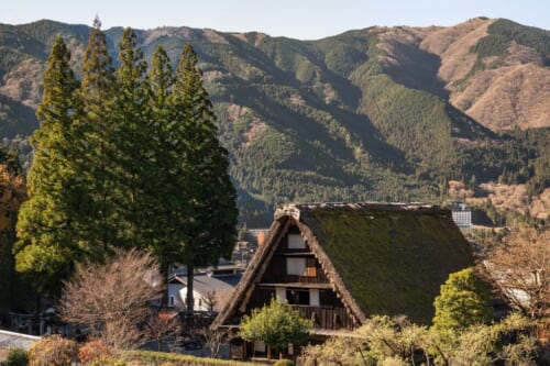 thatched roof of traditional japanese house Gessho village, Gifu, Japan