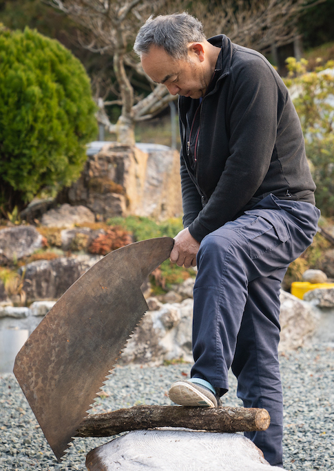 Mr. Ogura saws a branch
