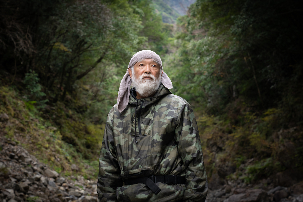 Mountain hermit in forest