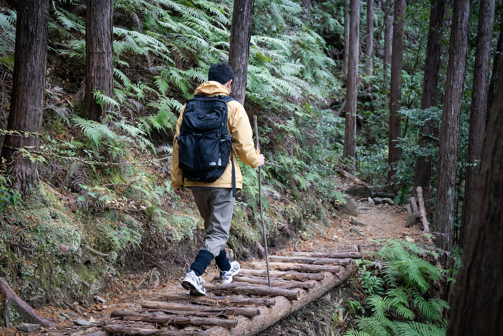 Walking up wooden steps in the forest of Kumano Kodo