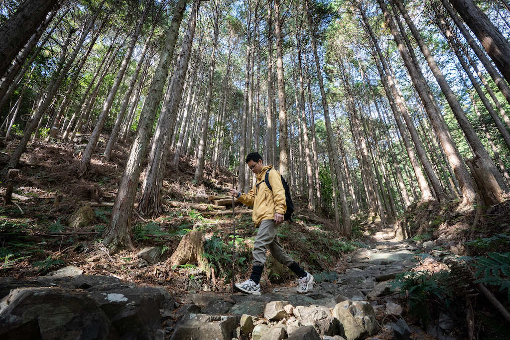 Walking down a stone path in the forest of Kumano Kodo