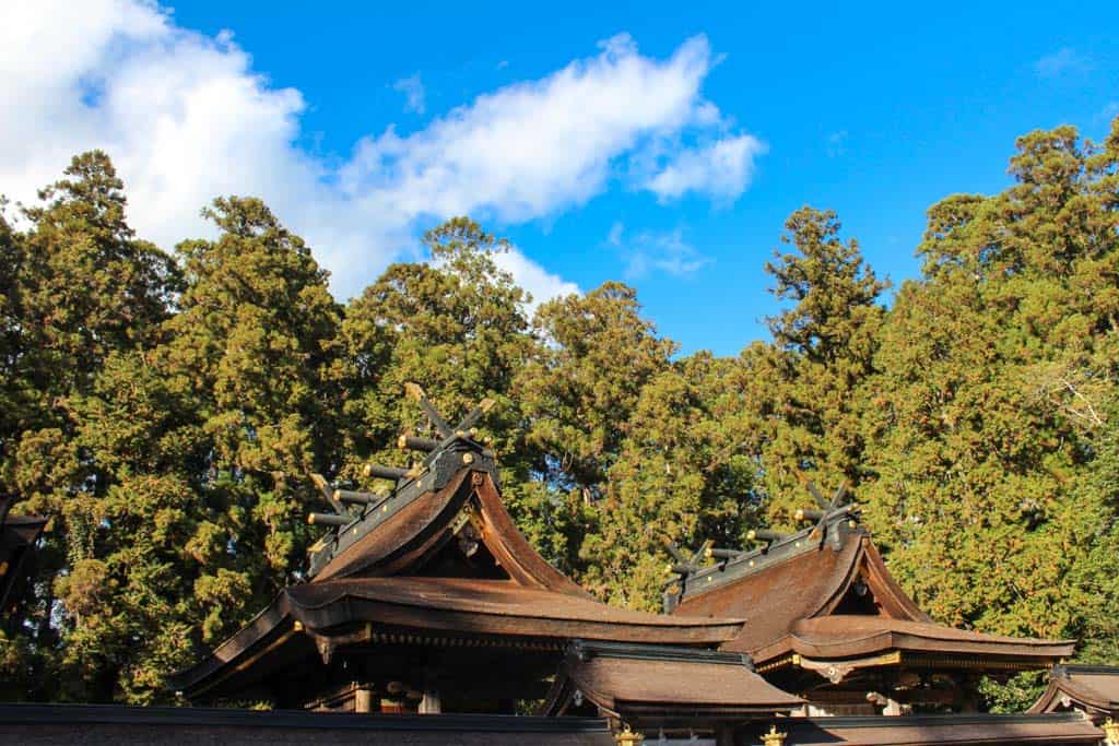 hongu taisha shrine roofline within japanese forest