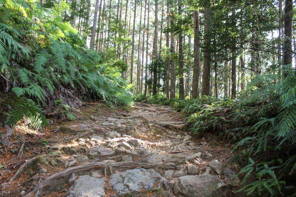 kumano kodo trails