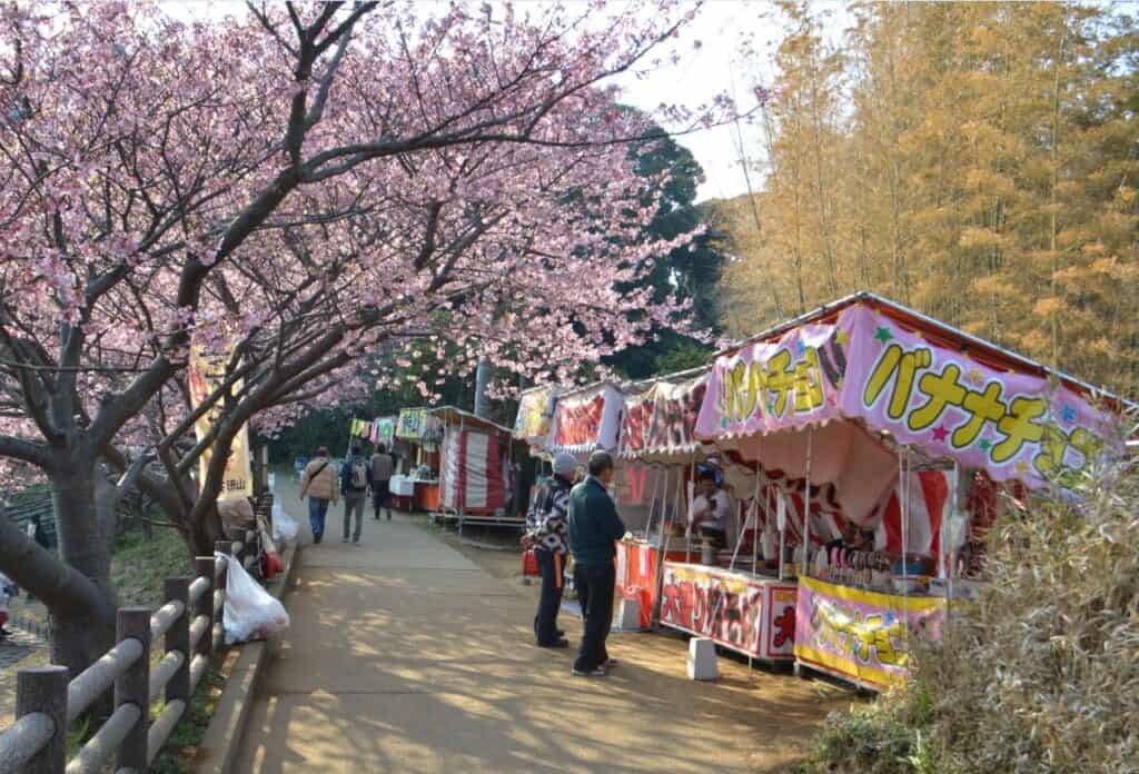 Food stands under the cherry blossoms at Miura Kaigan