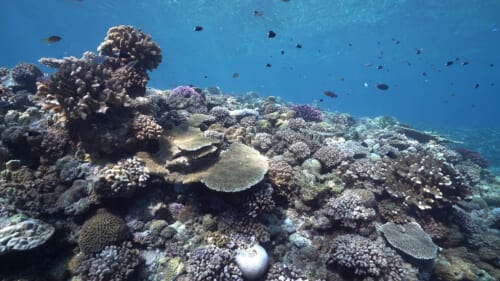 How Responsible Travelers Can Contribute to Sustainable Islands