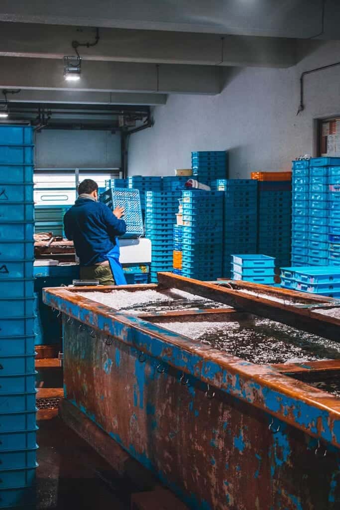 Fish market in Japan