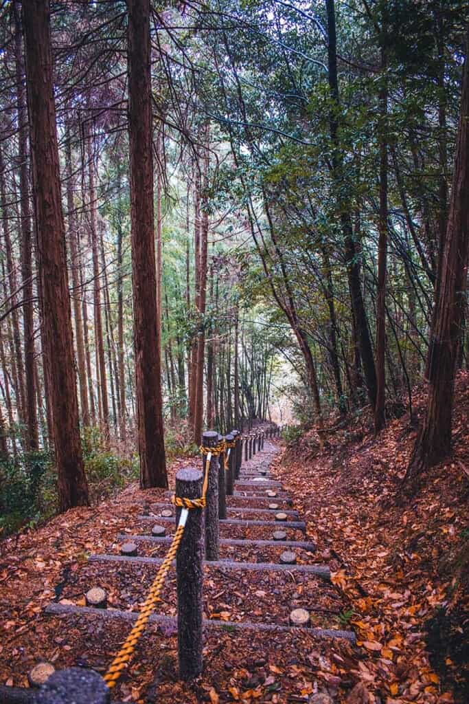 Forest steps in Osaka, Japan