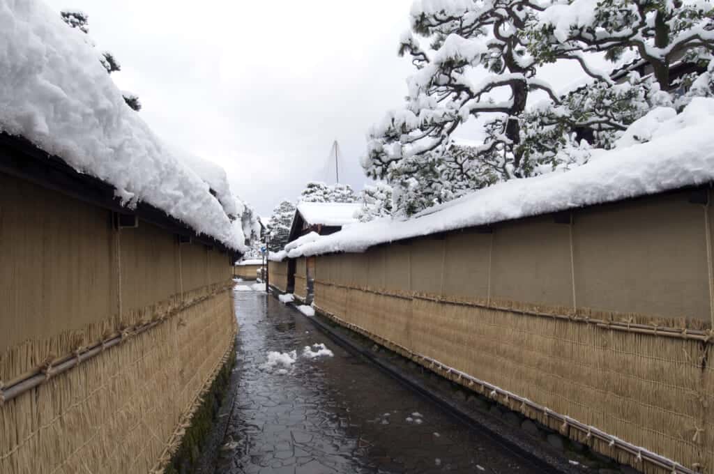 snow covered walls