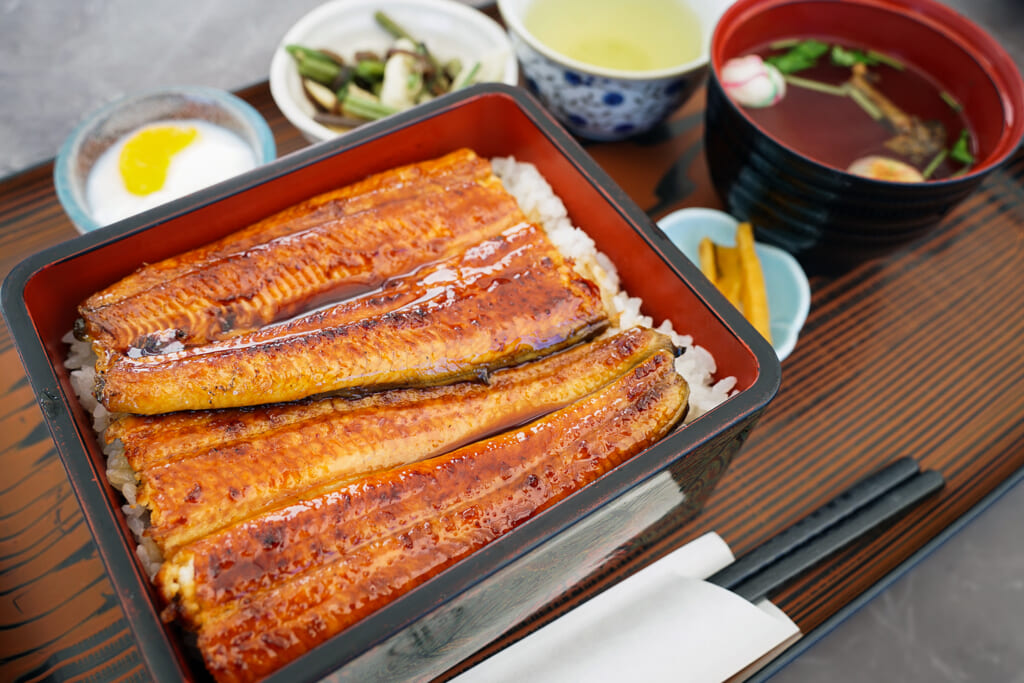 Hamanako Unagi eel on rice