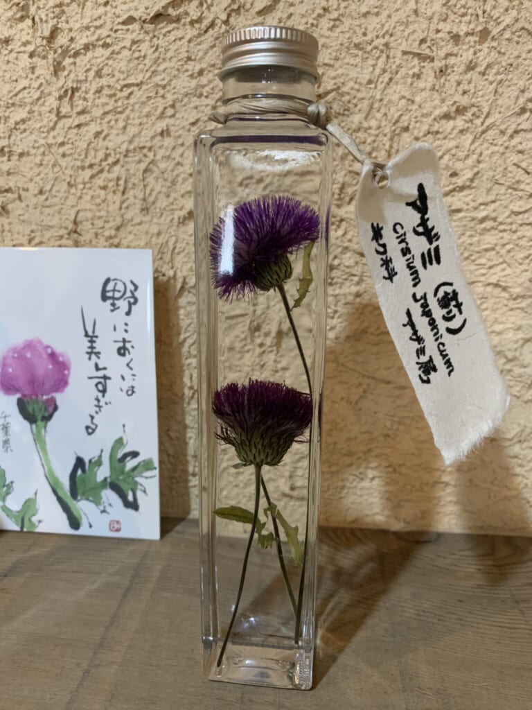 medicinal herb sample in glass jar from Hida Takayama